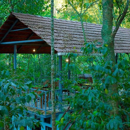 Snow Hills Resorts Теккади Экстерьер фото